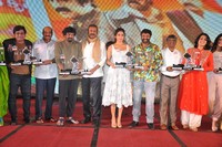 Paisa Vasool Audio Success Meet Photos